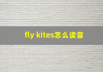 fly kites怎么读音